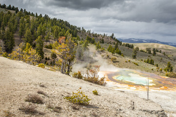 Mammoth hot springs in Yellowstone national Park