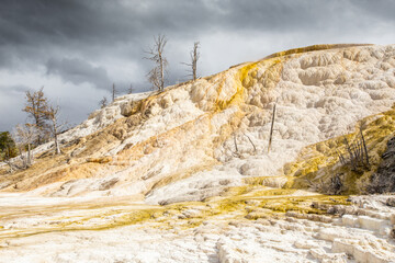 Mammoth hot springs in Yellowstone national Park