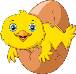 Cute little chick cartoon hatching out the egg