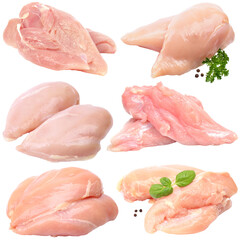 Meat chicken isolated 