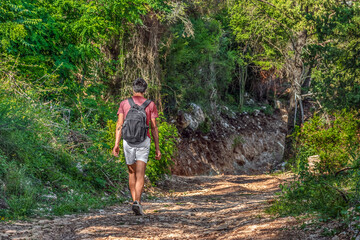Obraz premium A hiker with a backpack climbs a forest road in the mountains near Budva in summer, Montenegro. Rear view of a young slender man walking among greenery and stones in summer clothes