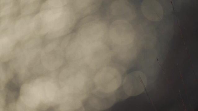 Marine bokeh plays from the sun. The sun reflects and sparkles on the bokeh, illuminating the sea. HLG BT.2020