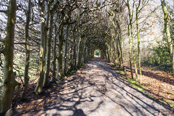 Berceau at Estate De Braak in Paterwolde Municipality Tynaarlo in Drenthe The Netherlands