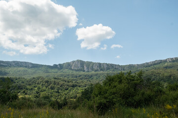 Obraz premium the landscape of the mountain with green forest and clouds in summer