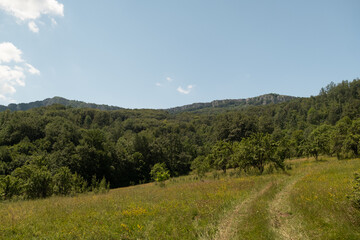 Naklejka premium path thru the meadow in the mountains