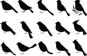 set of bird silhouette on white background, vector