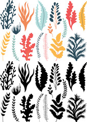 seaweed set on white background, vector