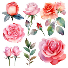 Watercolor Roses Summary with Generative AI