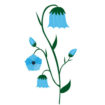 recommend clip art: Bluebell flower on white background. fairy flowers, witches thimbles, cuckoo's boots clip art