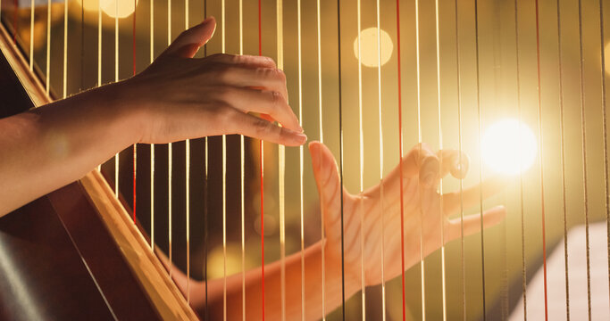 Cinematic Closeup of the Hands of a Female Harpist Playing Harp Solo Gracefully in a Dark Stage. Professional Musician Rehearsing Before the Start of a Big Show
