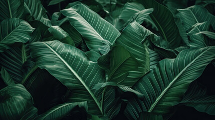 Naklejka na ściany i meble Close up, stacked green leaf texture abstract nature background