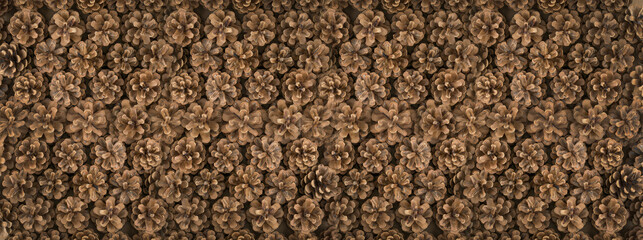 Pine Cones Texture Background, Pinecone Pattern, Natural Coniferous Banner, Spruce Pine Cone Mockup