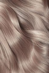 Naklejka premium Blond hair close-up as a background. Women's long light brown hair. Beautifully styled wavy shiny curls. Hair coloring. Hairdressing procedures, extension.