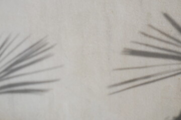 Fototapeta na wymiar Ombre floue d'une feuille de palmier devant un mur blanc. Lumière du soleil. Espace texte. Concept d'été ou de vacances