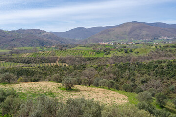 Fototapeta na wymiar Hills and countryside in Calabria region of Italy (Pollino National Park)