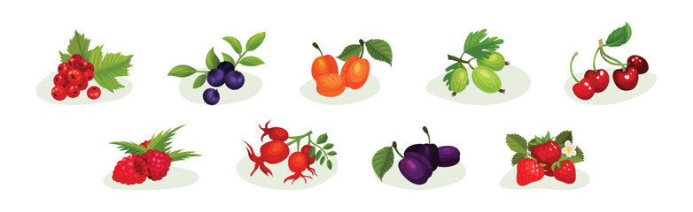 Ripe and Juicy Berries with Green Leaves Vector Set