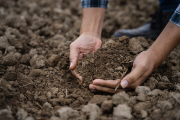 2. Soil in the hands of farmers. Concept of agriculture.