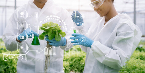 biologists, and scientists are studying the genetic structure of vegetables in a greenhouse.