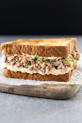 Tuna sandwich with mayo and vegetables on gray stone background.