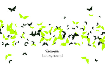 Fototapeta na wymiar Vector butterflies. Green and dark butterflies on white background, design element
