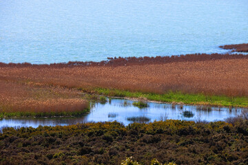 Beautiful landscape of Lake Vrana, Croatia.