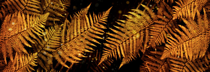 banner background fern leaf on gold color background tropical leaves