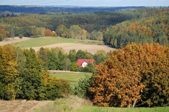 Beautiful scenery of kashubian landscape with fields and trees on hills in autumn scenery. Little houses  among fields. Around Sierakowice, Kashubia, Poland