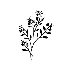 Twig vector illustration isolated on transparent background