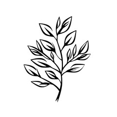 Twig vector illustration isolated on transparent background