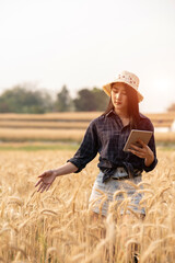 Naklejka na ściany i meble Farmer giving advice on wheat work online on tablet in wheat field