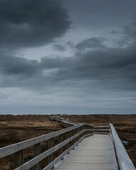 Obraz premium Vertical shot of a wooden footbridge in the middle of a wetland under the clouded sky