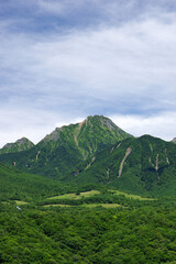 緑に覆われた盛夏の赤岳