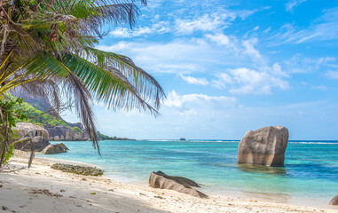 Fototapeta na wymiar Rocks and Palm trees by the sea in Anse Source d'Argent beach