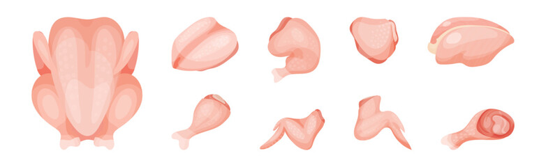Chicken Meat Part as Farm Fresh Product Vector Set