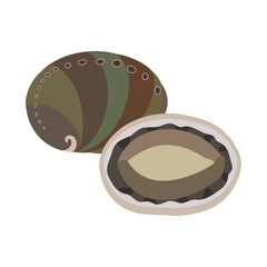 Obraz premium クロアワビ。フラットなベクターイラスト。 Japanese abalone. Flat designed vector illustration.