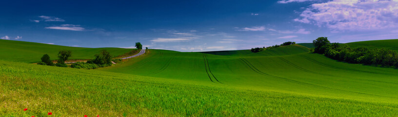 Countryside landscape with agriculture field at spring daylight