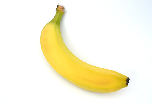 Banane, Musa × paradisiaca