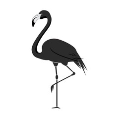 Obraz premium Flamingo silhouette tattoo isolated on white - vector illustration