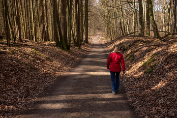 Frau Seniorin Wald Natur Aktivität Wandern