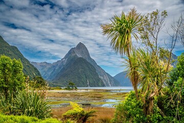 Fiordland national park on a sunny day with landscape view