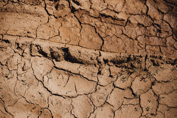 Dried cracked earth soil ground texture background. Mosaic pattern of sunny dried earth soil