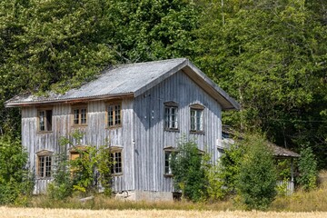 Abandoned old wooden shack in an overgrowth covered by bright green trees and bushes