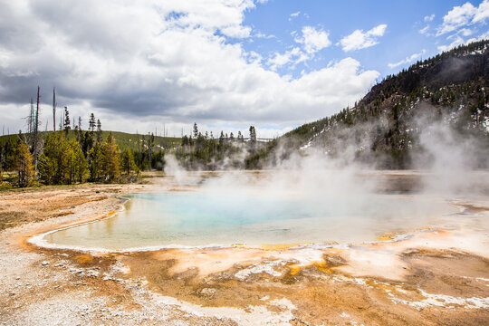 Dans le parc de Yellowstone