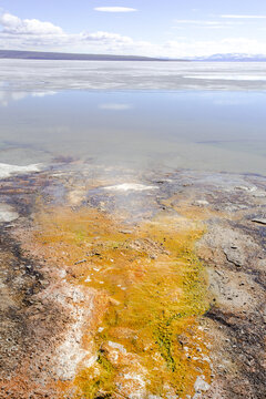 Dans le parc de Yellowstone