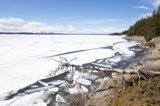 Dans le parc de Yellowstone