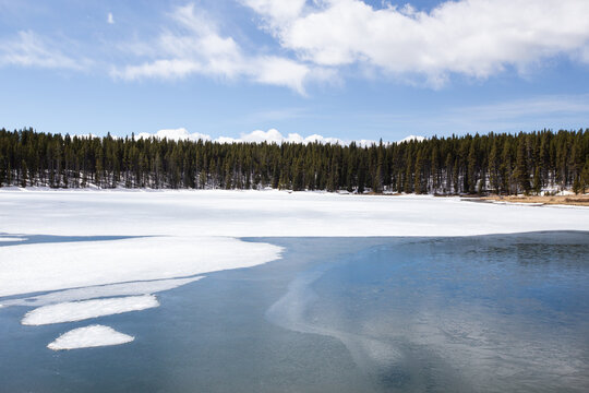 Dans le parc de Yellowstone
