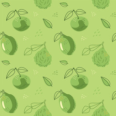 Seamless pattern of healthy green citrus fruits in a hand-drawn style. Vector illustration on a green background for fabrics, wallpaper, decor