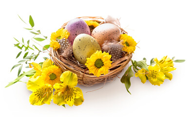 PNG. Happy Easter. Three spotted eggs in the nest and spring yellow flowers. isolate
