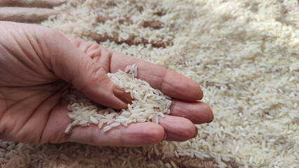 White cereals rice and hand of woman in it. Food for background and texture. Product and food that can be stored for a long time. Partial focus