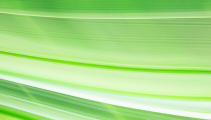 Abstract background, white and green lines.